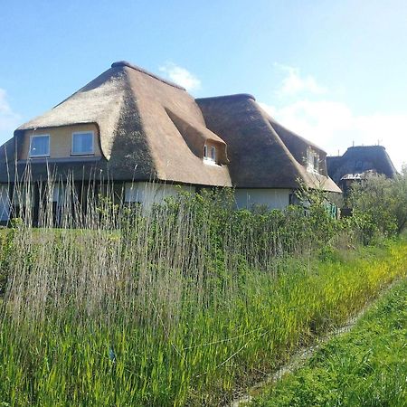 Haus-Duewelswarft-Whg-Delphin Leilighet Sankt Peter-Ording Eksteriør bilde