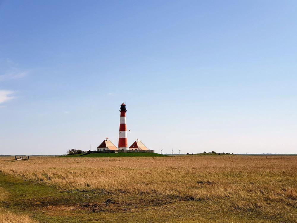 Haus-Duewelswarft-Whg-Delphin Leilighet Sankt Peter-Ording Eksteriør bilde